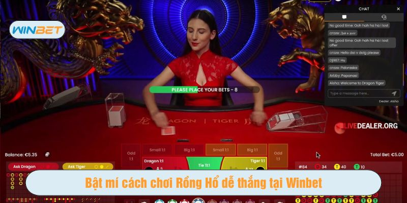 Quá trình chơi Rồng Hổ Winbet được thiết kế mượt mà, với giao diện thân thiện