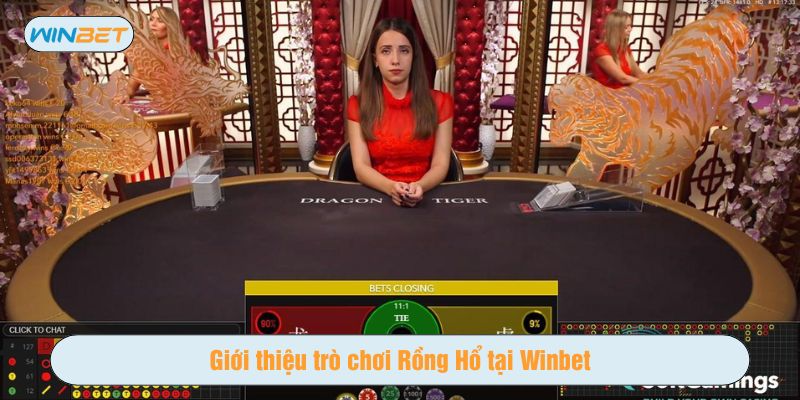 Tại Winbet cách chơi Rồng Hổ được tái hiện sống động