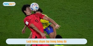 Luật bóng chạm tay