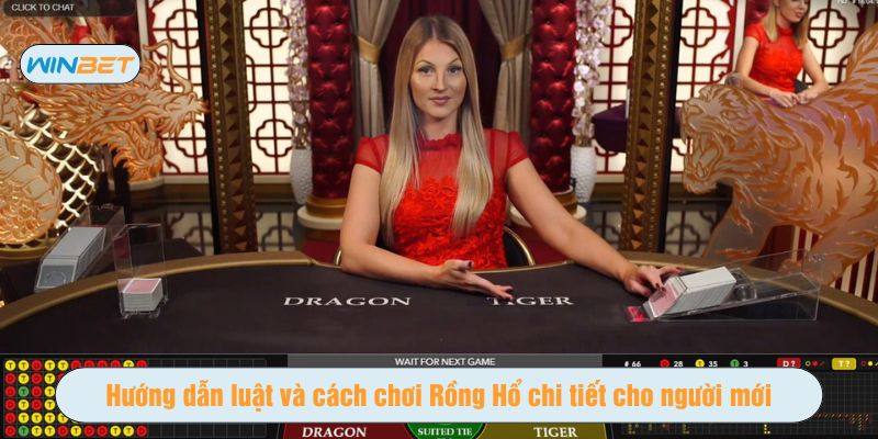 Cách chơi Rồng Hổ đơn giản, dễ tiếp cận