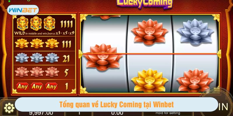 Winbet là điểm đến lý tưởng để trải nghiệm Lucky Coming