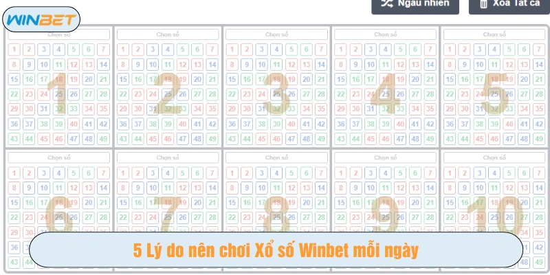 5 Lý do nên chơi Xổ số Winbet mỗi ngày