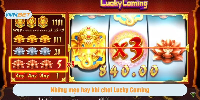 Chơi có chiến thuật sẽ dễ thắng hơn