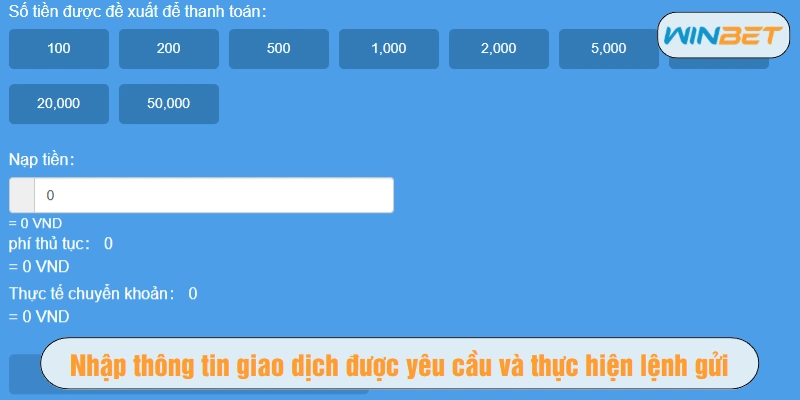 Nhập thông tin giao dịch được yêu cầu và thực hiện lệnh gửi