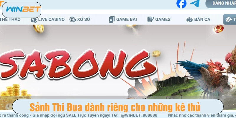 Sảnh Thi Đua dành riêng cho những kê thủ